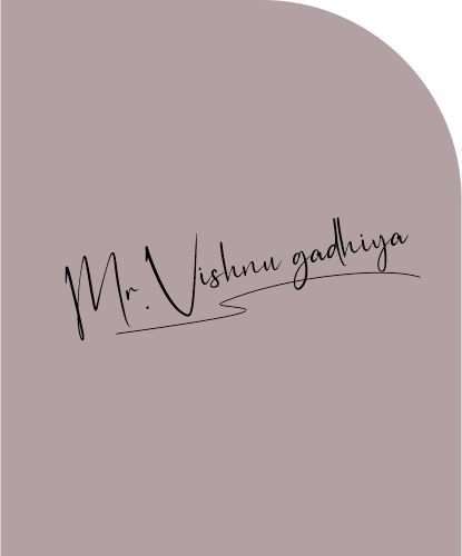 Mr. Vishnu Gadhiya