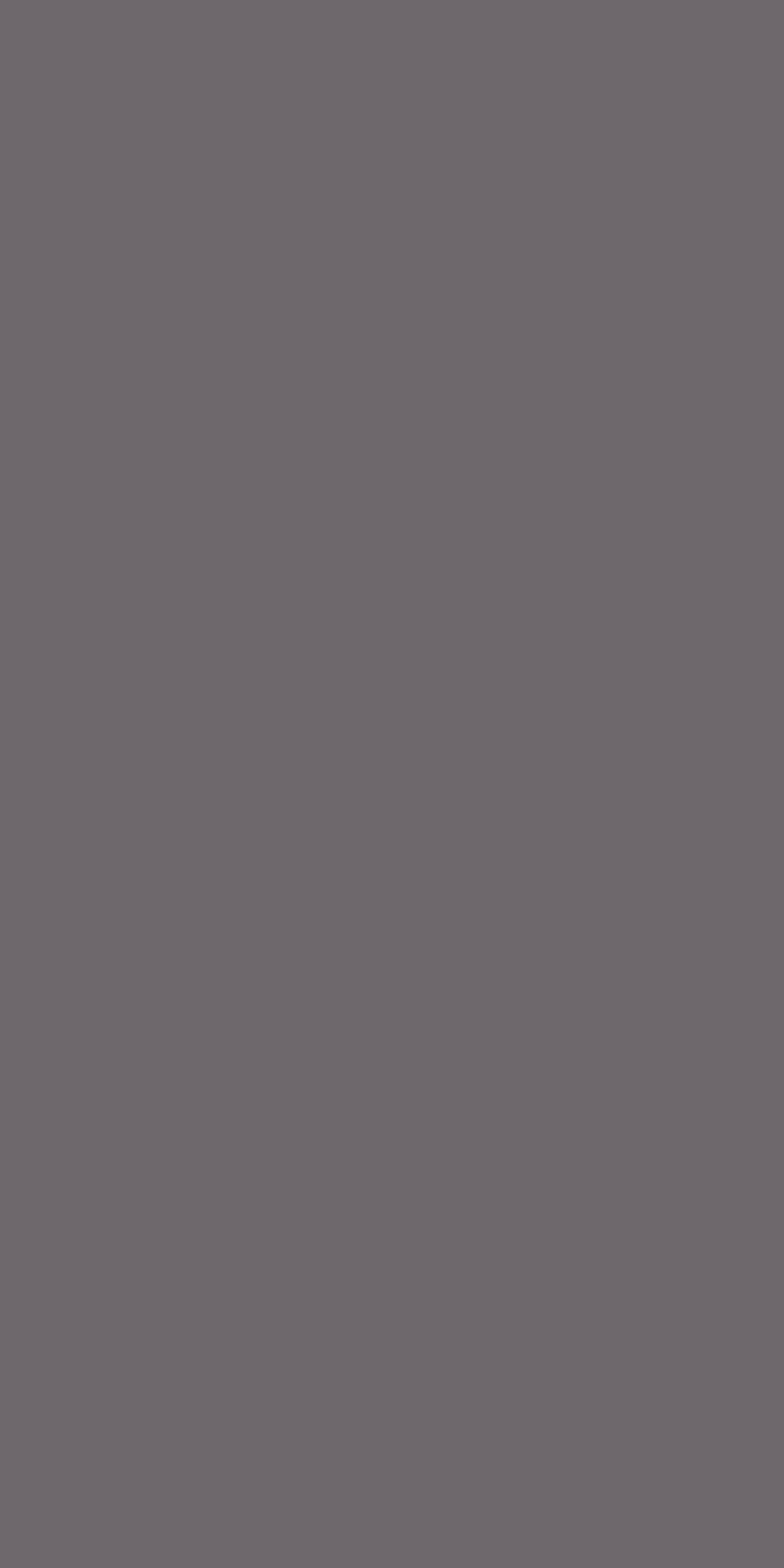 3003 - 21 Taupe Grey