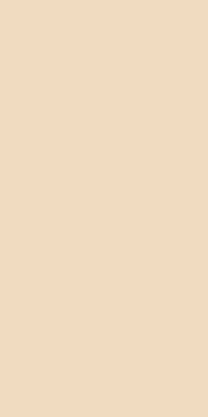 3003 - 18 Sandy Tan
