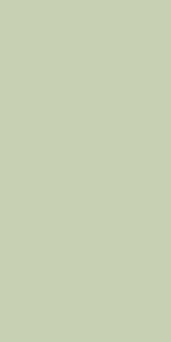 3003 - 19 Pale Silver