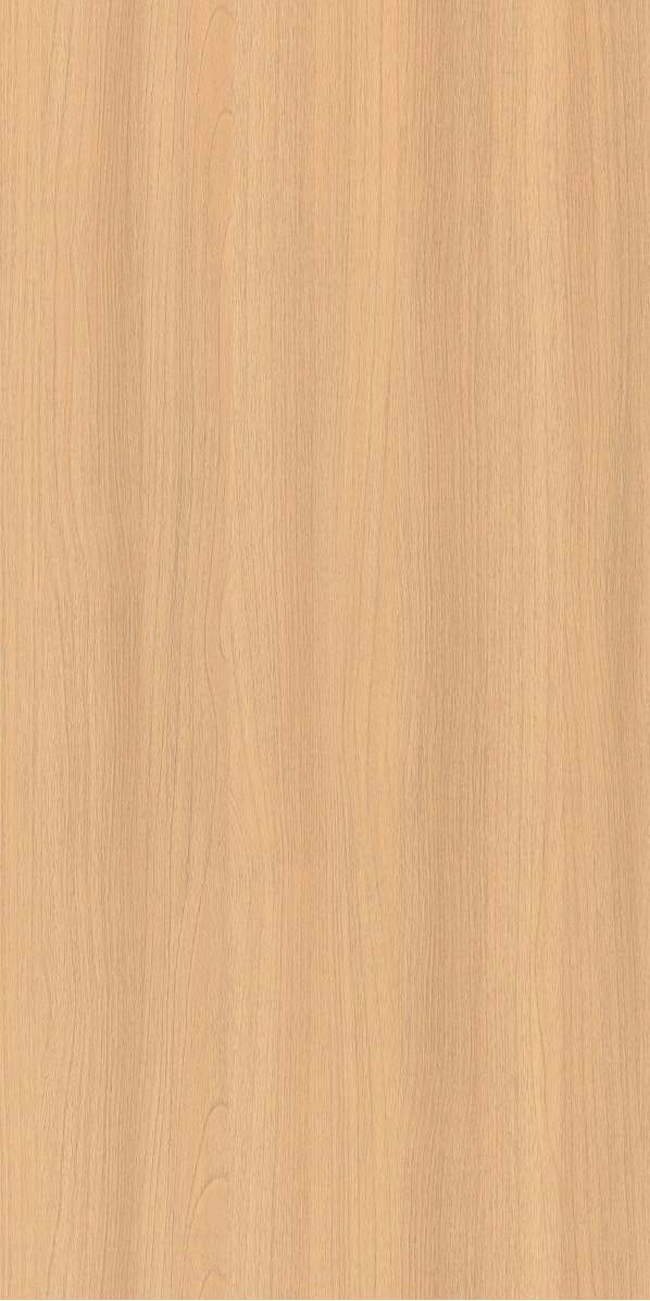 9023 - Snuf Elm