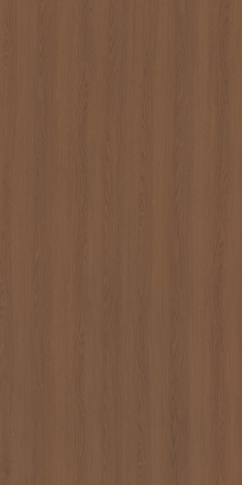 9036 - Mocka Oak